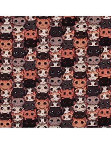 Tissu jersey imprimé - Chats