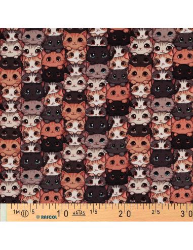 Tissu jersey imprimé - Chats