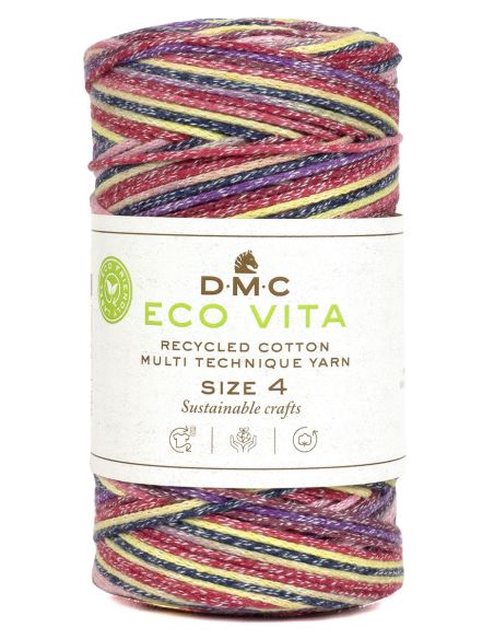 Coton recyclé Eco Vita 4 Multicolore DMC