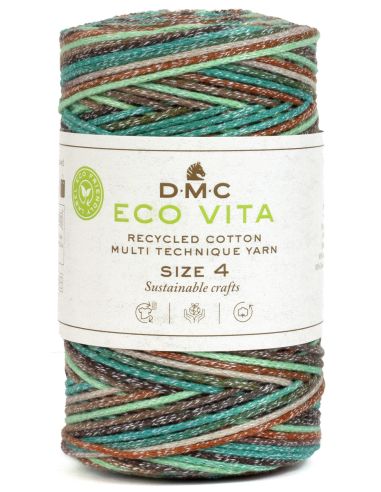 Coton recyclé Eco Vita 4 Multicolore DMC