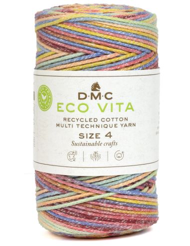 Coton recyclé Eco Vita 4 Multicolore DMC