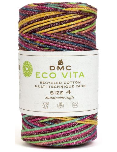 Coton recyclé Eco Vita 4 Multicolore DMC