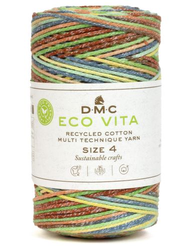 Coton recyclé Eco Vita 4 Multicolore DMC