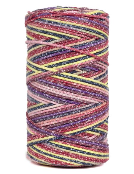 Coton recyclé Eco Vita 4 Multicolore DMC
