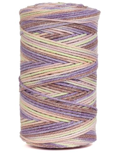 Coton recyclé Eco Vita 4 Multicolore DMC