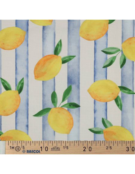 Toile de coton canvas - Citrons