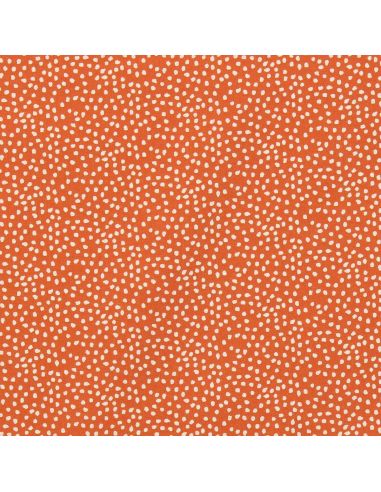 Tissu popeline de coton - Tassi orange et blanc