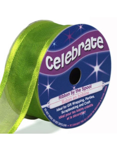 Ruban organza Celebrate vert pomme - 25 mm x 4 m