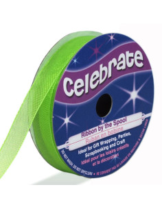 Ruban organza Celebrate vert anis - 9 mm x 8 m