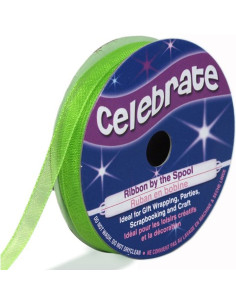 Ruban organza Celebrate vert anis - 6 mm x 8 m