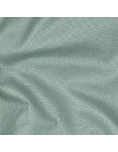 Tissu flanelle - Menthe