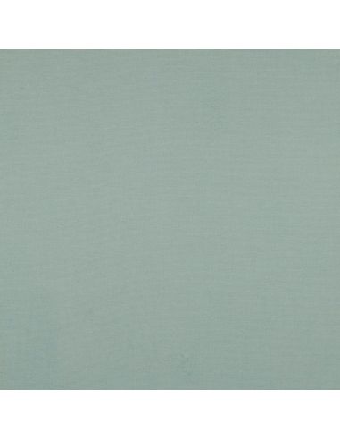 Tissu flanelle - Menthe