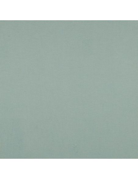 Tissu flanelle - Menthe