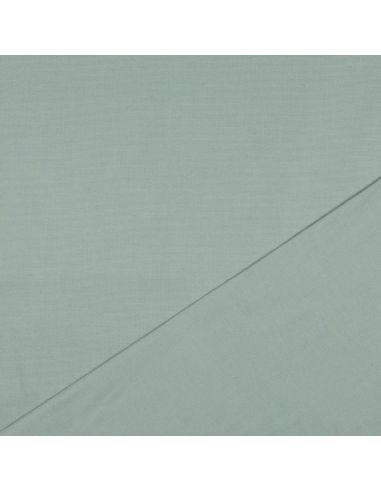 Tissu flanelle - Menthe