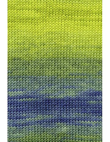 Laine Merino + Color Lang Yarns