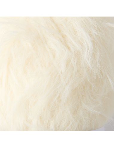 Fil Creative Fur Rico Design