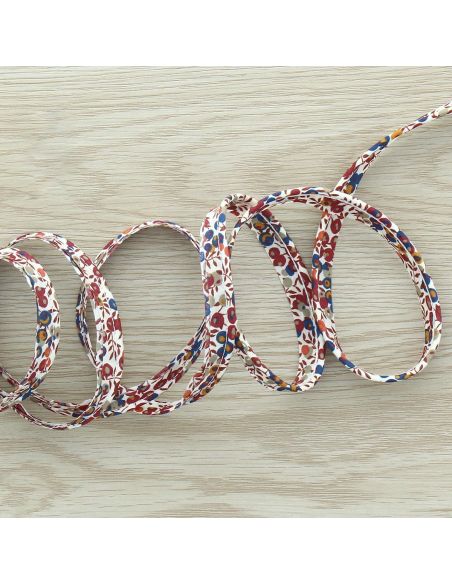 Passepoil Liberty - Wiltshire marron et bleu