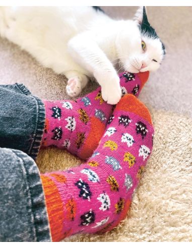 Livre chaussettes créatives à tricoter