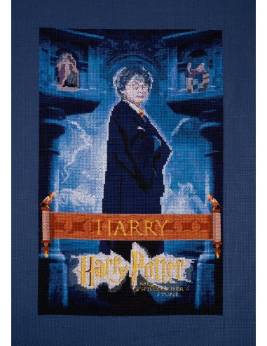 Kit point de croix DMC Harry Potter - Affiche Harry