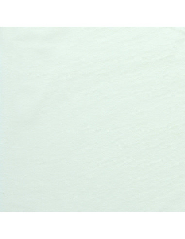 Tissu micro éponge viscose - Écru