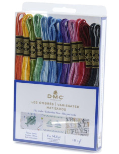 Pack de 12 échevettes fils à broder moulinés DMC - Les ombrés 2