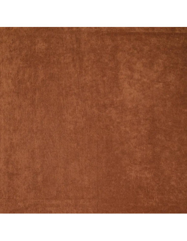 Tissu velours côtelé - Noisette