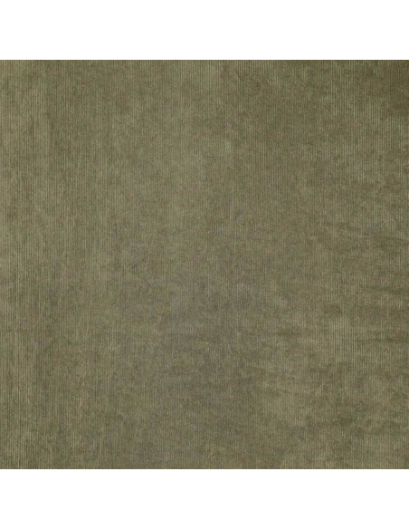 Tissu velours côtelé - Kaki