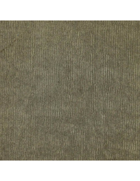 Tissu velours côtelé - Kaki