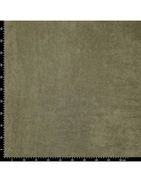 Tissu velours côtelé - Kaki