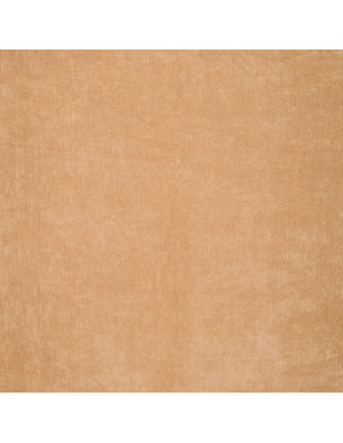 Tissu velours côtelé - Beige