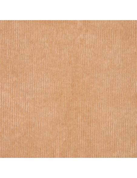 Tissu velours côtelé - Beige