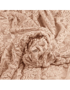 Tissu dentelle stretch Glamour - Nude 2