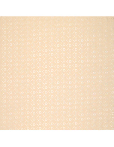 Tissu broderie anglaise extensible - Beige clair