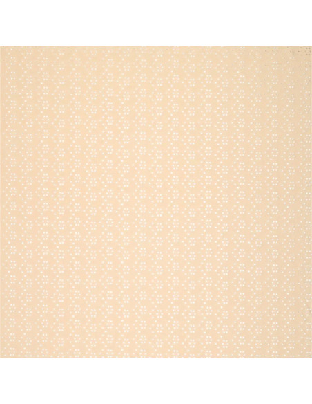 Tissu broderie anglaise extensible - Beige clair