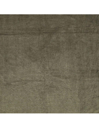 Tissu velours rayé lurex - Vert foncé