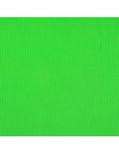 Tissu jersey coton côtelé - Vert pomme 2