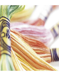 Fil à broder Mouliné Variations DMC