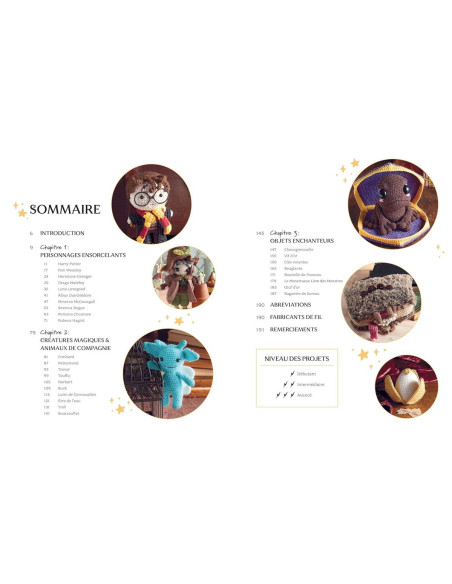 Livre Harry Potter la magie du crochet amigurumi