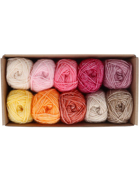Coffret de 10 pelotes Scheejes Stone Washed Colour Pack - Manifest