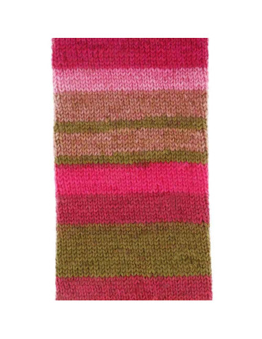 Laine pour chaussettes Scheepjes Arcadia