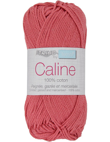 Coton Câline
