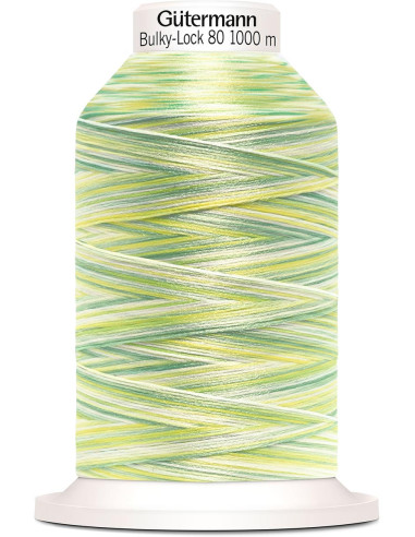 Cône fil mousse Gütermann Bulky-Lock Multicolour 1000 m
