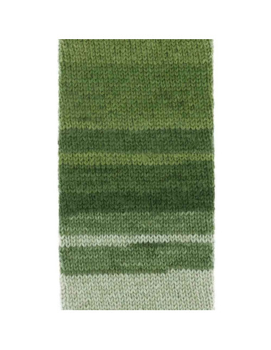 Laine pour chaussettes Scheepjes Arcadia