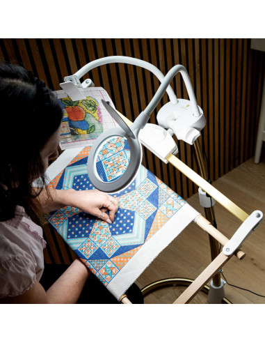 Loupe et pince pour Daylight StitchSmart 2