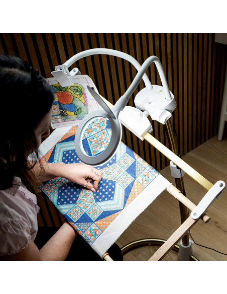 Loupe et pince pour Daylight StitchSmart 2