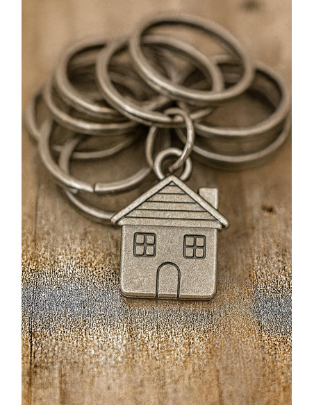Anneaux brisés porte-clés 25 mm argent