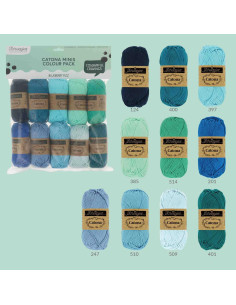 Sachet de 10 pelotes Scheepjes Catona Colour Pack - Blueberry Fizz 2