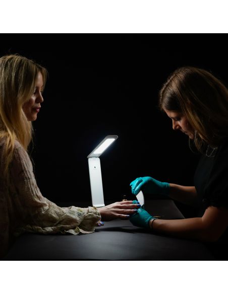 Lampe portative rechargeable Smart Go Daylight