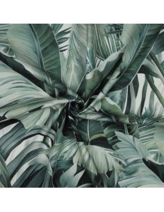 Toile de coton canvas - Tropical