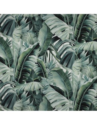 Toile de coton canvas - Tropical